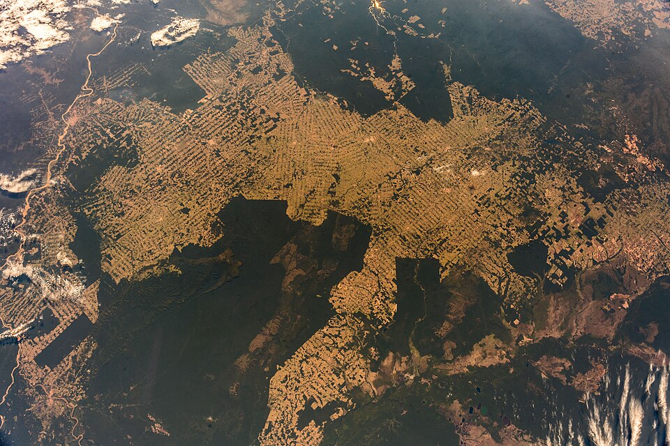 Vista aérea da fronteira de desmatamento na Amazônia com floresta nativa de um lado e terra degradada do outro
