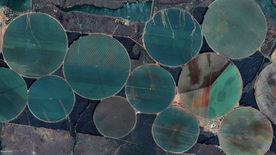 Imagem de satélite mostrando pivôs circulares de irrigação avançando sobre a vegetação nativa do Cerrado